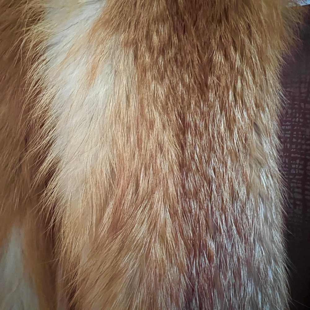 Full length fox fur coat purchase in Aspen CO. worn 1 time. - Picture 12 of 16